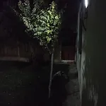 Private House