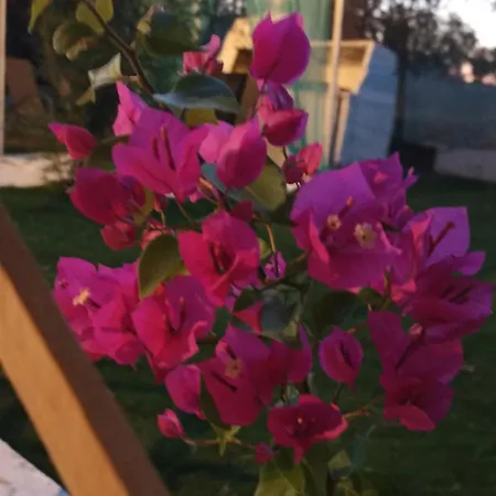 Сasa de vacaciones Private House Sozopoli