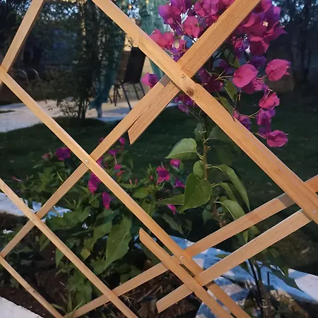 Private House *