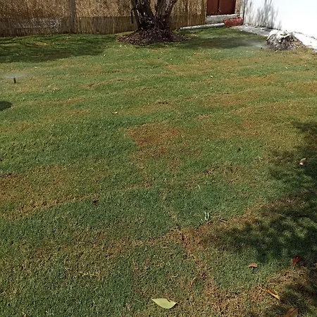 Private House Vakantiehuis Sozopoli