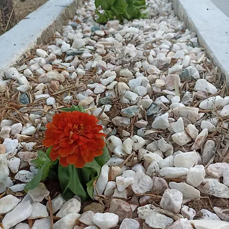 Private House
