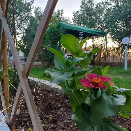 Private House Vakantiehuis