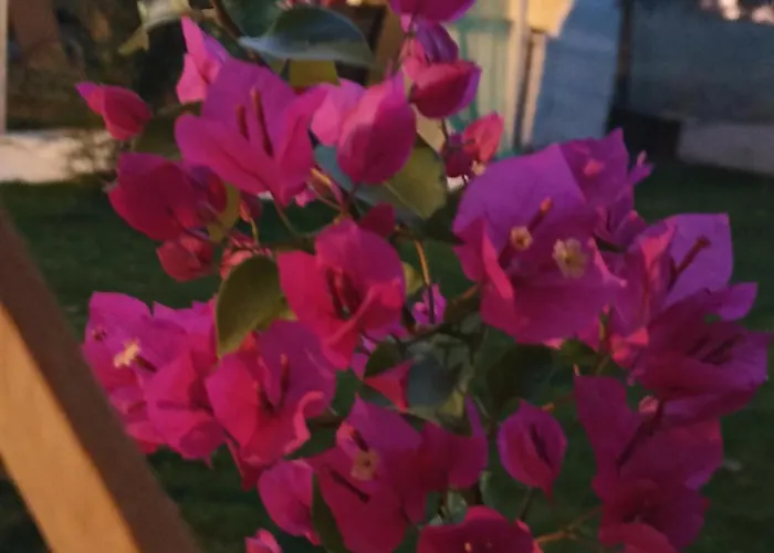 Vakantiehuis Private House Sozopoli