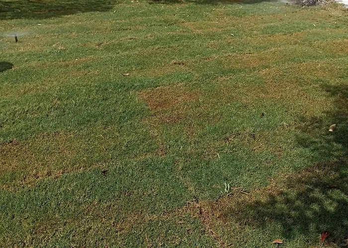 Private House Case de vacanță Sozopoli