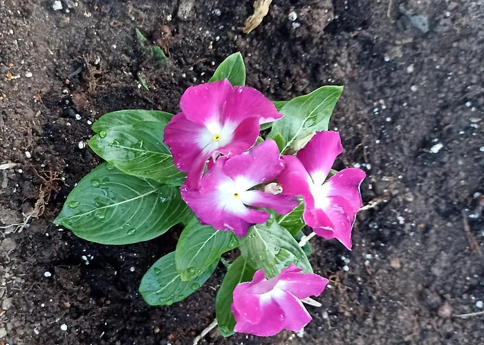 Private House Sozopoli