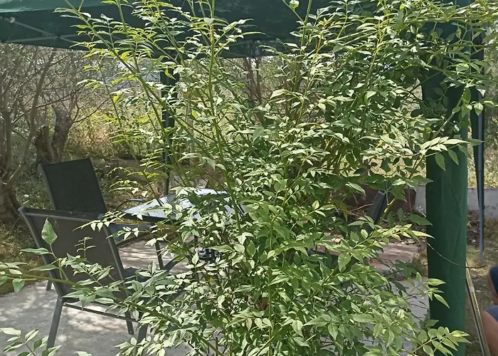 Private House Vakantiehuis *