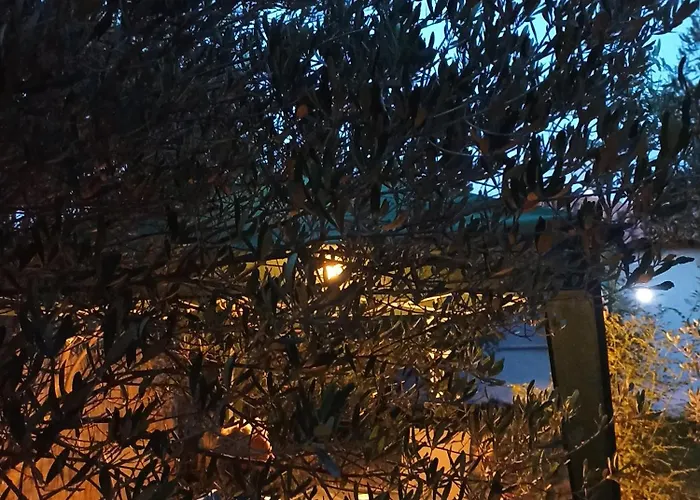 Vakantiehuis Private House *