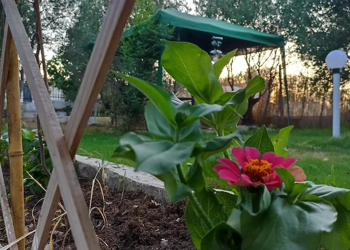 Private House Case de vacanță