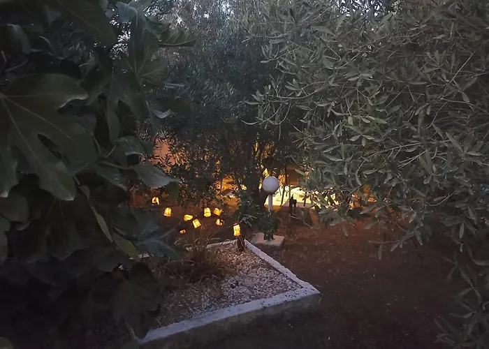 Private House Case de vacanță