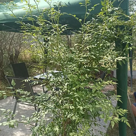 Private House Dom wakacyjny *