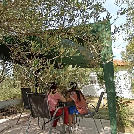 Dom wakacyjny Private House *